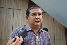 Kajian Studi Kelayakan Target Rampung Juni, Pembangunan Kawasan Industri Pulau Baai Makin Dekat