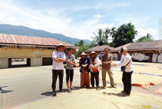 Pastikan Petani Terima Harga Gabah Rp6.500 per Kg, Bulog Bengkulu Turun ke Pengololahan Padi