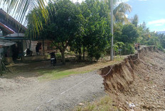 Ambles Sedalam 3,5 Meter, Akses Jalan di Desa Maras Air Nipis Lumpuh dan Membahayakan Pengendara