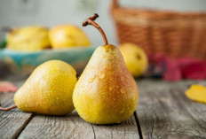 Pecinta Buah Pir Yuk Merapat, Cek Disini Manfaat Konsumsinya untuk Kesehatan Tubuh!