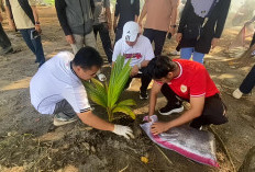 Pastikan Gempala Berhasil, Dedy Wahyudi Instruksikan OPD Rawat Intensif Pohon Kelapa Pantai Panjang