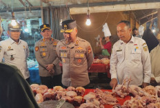 Jamin Stok Pangan Ramadan, Kapolda Bengkulu Pimpin Sidak Satgas Saber Pangan di PTM