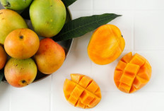 Kenali Ragam Jenis Buah Mangga yang Ada di Indonesia, Salah Satunya Mangga Indramayu 
