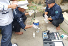 Mie Gacoan Diberi Sanksi, Dinas LH Temukan Pencemaran Limbah