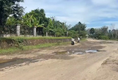 Dari Seluma hingga Lebong, Pemprov Bengkulu Mulai Perbaikan 24 Km Jalan dan Pastikan Selesai 30 Desember