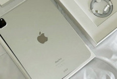 Cek di Sini! Rekomendasi Tablet yang Cocok untuk Desain, Layar Luas dan Stylus Responsif