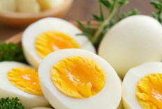 Cek Rekomendasi Makanan Sehat untuk Ibu Hamil, Bergizi dan Baik untuk Perkembangan Janin