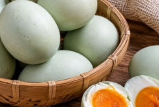 Kaya Protein dan Nutrisi Penting, Ini Manfaat Telur Asin bagi Kesehatan