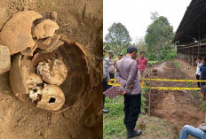 Geger! Warga Kepahiang Temukan 3 Tengkorak Kepala Manusia di Dalam Guci