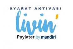 Berikut Syaratnya, Segera Lengkapi Untuk Pinjaman Paylater di Livin by Mandiri Limit Hingga Rp10 Juta
