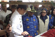 Jelang Nataru 2025-2026, Bupati Bengkulu Utara Pantau Harga dan Stok Bapok di Pasar Purwodadi