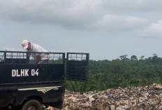 Tiap Hari Tampung 42 Ton Sampah, DLHK Bengkulu Selatan Minta Warga Mulai Pilah Sampah Rumah Tangga