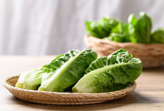 Picu Pembekuan Darah, Ini Efek Samping Konsumsi Sayur Selada Secara Berlebihan!
