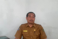 Perkuat Literasi Daerah, Dinas Perpustakaan Bengkulu Selatan Matangkan Rencana Fasilitas Taman Baca