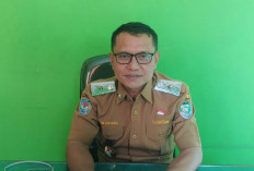 Sebulan Menuju Iduladha 1447 H, Distan Seluma Intensifkan Pendataan Stok Hewan Kurban