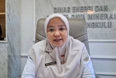 6.401 Rumah Tangga di Bengkulu Masuk Daftar Verifikasi Pusat untuk Terima Listrik Gratis
