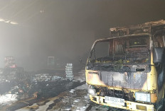 Gudang Distributor di Pekan Sabtu Terbakar, Api Berasal dari Mobil Boks Lalu Merambat ke Ribuan Barang