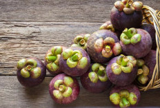 Kaya akan Serat, Inilah Manfaat Buah Manggis untuk Ibu Hamil
