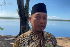 Kabar Gembira, Gaji Ke-13 untuk 4.367 PPPK Paruh Waktu Pemprov Bengkulu Cair Pekan Depan