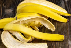 Tak hanya Buahnya, Berikut Manfaat Kulit Pisang untuk Kesehatan Tubuh 