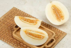 Wow, Ada 9 Manfaat Tersembunyi yang Ditawarkan Timun Suri, Penasaran? Cek Disini!