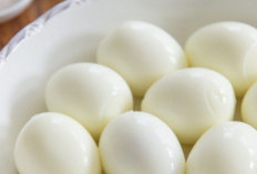 7 Makanan yang Kaya Protein, Dapat Menjaga Kesehatan Tubuh dan Membentuk Otot