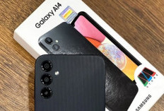 Rekomendasi HP Layar Amoled Terbaik di Kelasnya, Harga Ramah Kantong