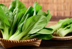 7 Manfaat Sayur Pakcoy untuk Kecantikan Kulit, Terbukti Ampuh Cerahkan Kulit 