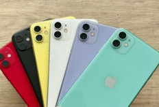 5 Rekomendasi iPhone dengan Kamera Ultra Wide, Worth It dan Punya Desain Modern