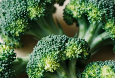 Cek Makanan yang Aman untuk Mata Ini, Salah Satunya Sayuran Hijau