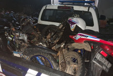 Adu Kambing dengan CB 150R di Jalinsum Mukomuko, Pengendara Motor Tanpa Lampu Tewas di Tempat