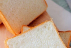 Cek di Sini! 7 Makanan yang Bikin Cepat Lapar, Kamu Perlu Tahu