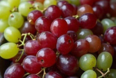 Daftar Buah yang Perlu Dibatasi Penderita Diabetes, Kamu Perlu Tahu