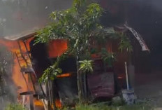 Kebakaran di Kampung Melayu: Warung Makan Ludes, Ruko 2 Pintu di Sampingnya Nyaris Terbakar