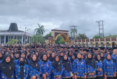 Hasil Rapat TAPD, THR Tenaga PPPK Paruh Waktu Bengkulu Dibayar Rp500 Ribu