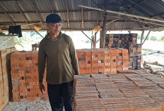 Harga Batu Bata di Seluma Turun Rp70 per Buah, Pengrajin Keluhkan Sepinya Pembangunan