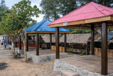 Targetkan 100 Unit Gazebo Baru di Pantai Panjang, Pemkot Bengkulu Siapkan Anggaran Rp500 Juta