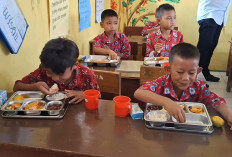 MBG Tetap Didistribusikan Saat Libur Sekolah, Tak Semua Sekolah di Bengkulu Siap