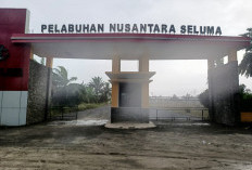 Pelabuhan Perikanan Pasar Seluma Mangkrak, DKP Surati Gubernur Minta Alih Status ke PPN