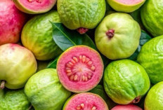 Ini Rekomendasi Buah yang Mengandung Vitamin C Tinggi, Enak dan Cocok Dikonsumsi Sehari-hari