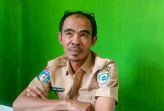 PMK dan Jembrana Masih Nihil, Distan Seluma Siapkan Vaksin dan Logistik Obat Ternak