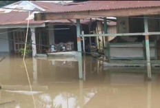 Banjir Rendam 8 Kecamatan di Kota Bengkulu, Tercatat 11.601 Warga Terdampak
