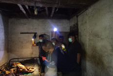 Sempat Lambaikan Tangan ke Tetangga, Lansia Tinggal Sendiri Ditemukan Meninggal Dunia di Atas Kasur