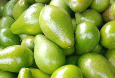 Daftar Buah yang Punya Kandungan Vitamin B, Baik untuk Melengkapi Nutrisi Harian