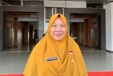 Kepala Dinas TPHP Bengkulu Sebut Harga TBS Sawit Murah akibat Buah Tidak Bagus
