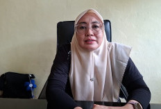 Dinkes Seluma Catat 29 Kasus Kematian Bayi Sepanjang 2025, Ini Penyebab Utamanya