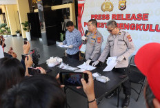 2 Bulan Beraksi, Satresnarkoba Polresta Bengkulu Ringkus 7 Tersangka dan Sita 1,4 Kg Ganja