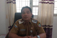Tak Temukan Dugaan Pencemaran Sungai Pring yang Viral di Medsos, DLH Sebut Air Menghitam Akibat Kemarau