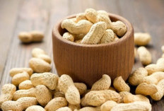 5 Fakta dan Mitos Kacang Tanah yang Jarang Diketahui, Benarkah Bikin Berat Badan Naik?