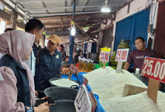 Cegah Peredaran Beras Fortifikasi, Disperindag Bengkulu Turun ke Pasar Tradisional